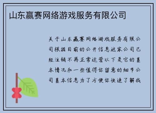 山东赢赛网络游戏服务有限公司